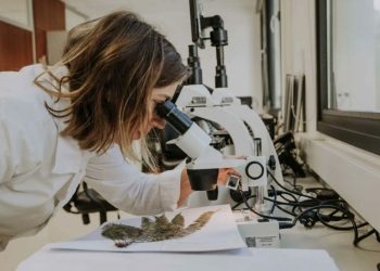 La provincia participará del Festival Federal de Ciencia y Tecnología