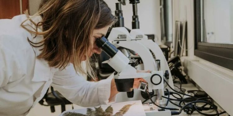 La provincia participará del Festival Federal de Ciencia y Tecnología
