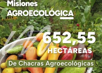 Misiones impulsa el futuro verde en la región con más de 650 hectáreas de chacras agroecológicas