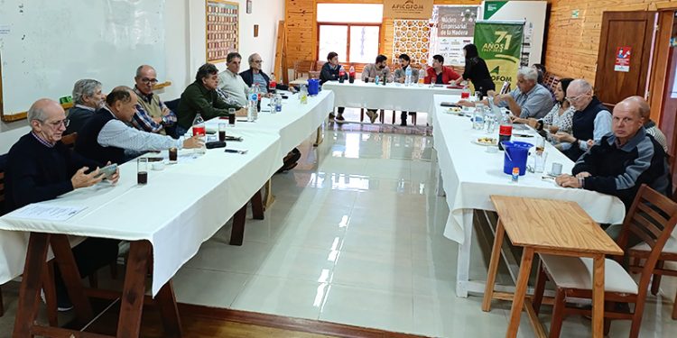 Los Créditos fiscales y el costo de la energía fueron los temas centrales de la agenda de los madereros