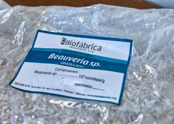 Desarrollan un nuevo bioinsumo para el control de plagas