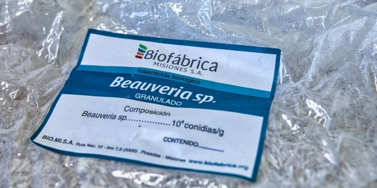 Desarrollan un nuevo bioinsumo para el control de plagas