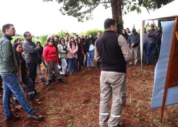 Más de cien asistentes en la Jornada de Mandioca en Montecarlo
