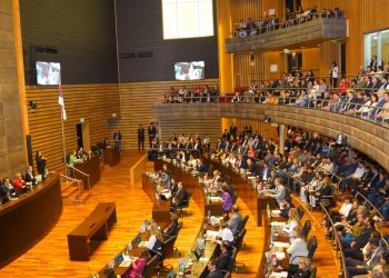 Mejoran los procesos de producción de azúcar rubio