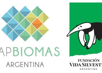 En 25 años, se perdieron 7,6 millones de hectáreas de vegetación natural