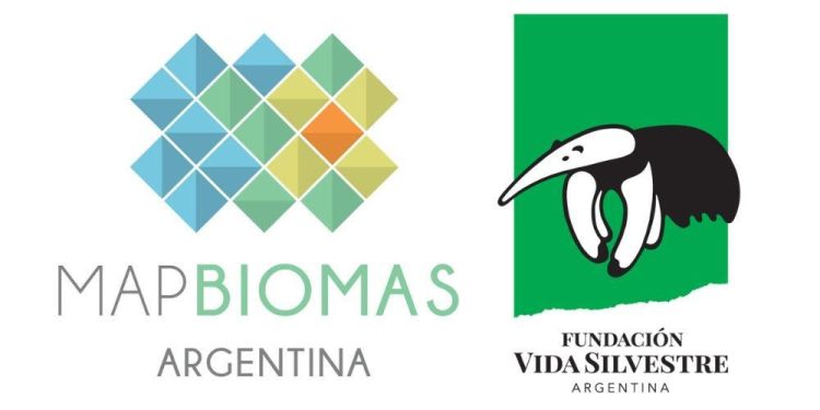 En 25 años, se perdieron 7,6 millones de hectáreas de vegetación natural