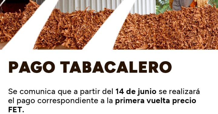 Atención tabacaleros: el viernes 14 se realizará el pago del FET