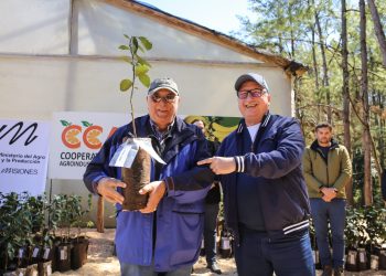 Entregaron más de 35 mil plantines a productores frutihorticolas en Leandro N. Alem