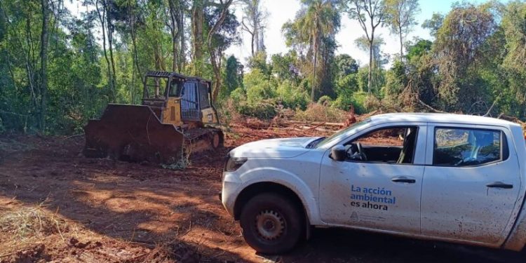 Inspectores del Ministerio de Ecología lograron frenar un desmonte ilegal en Montecarlo
