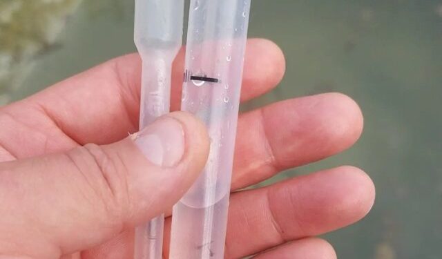 Zona Sur: realizan operativos LIRAa en el marco de prevención de enfermedades vectoriales