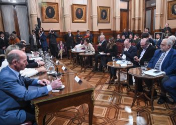 Rojas Decut acompañó el dictamen del proyecto de ley que autoriza ejercicios militares multilaterales