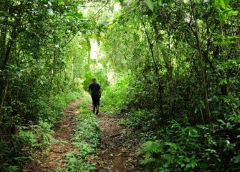 Yoga y senderismo en el Parque Salto Encantado