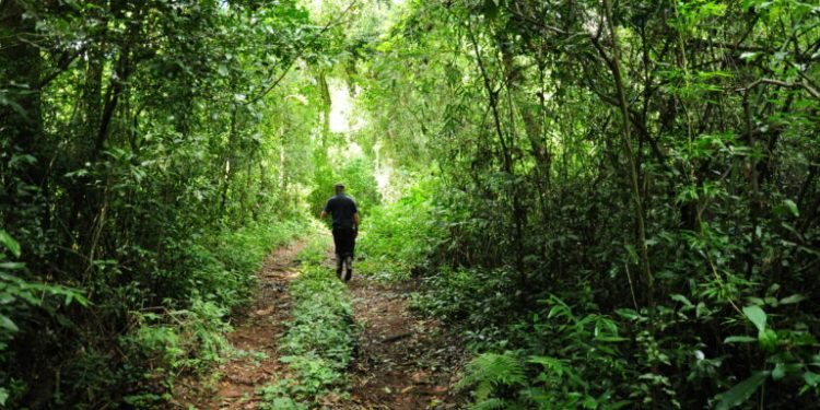 Yoga y senderismo en el Parque Salto Encantado