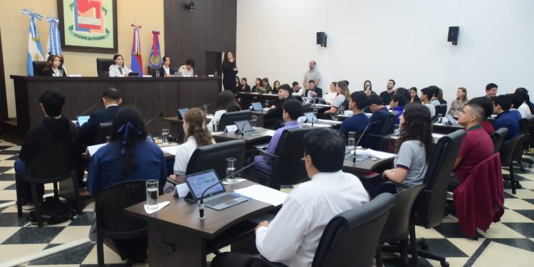 Digitalización, Medio Ambiente y Educación: ejes del Concejo Estudiantil Inclusivo 2024