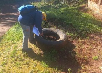 Salud Pública continua con el control y monitoreo del Aedes aegypti