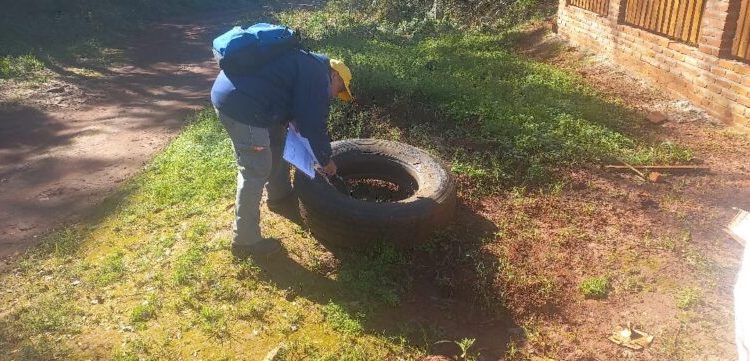 Salud Pública continua con el control y monitoreo del Aedes aegypti