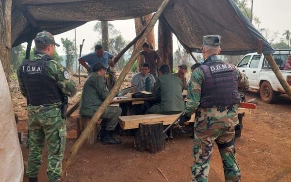 Frenan desmontes y usurpación de lotes privados en San Pedro