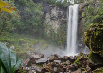 Gastronomía y naturaleza en el Parque Salto Encantado