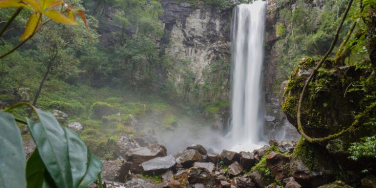 Gastronomía y naturaleza en el Parque Salto Encantado