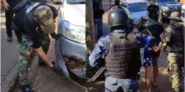 Ubicaron en Iguazú el auto que chocó y mató al puma en la Ruta 12