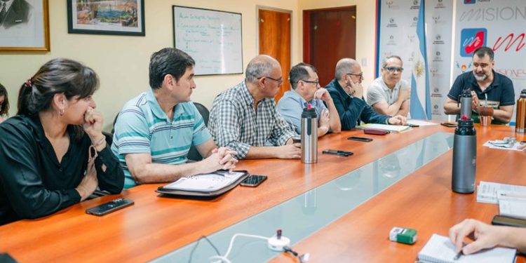 Enfermedades vectoriales: Salud Pública coordina estrategias de prevención