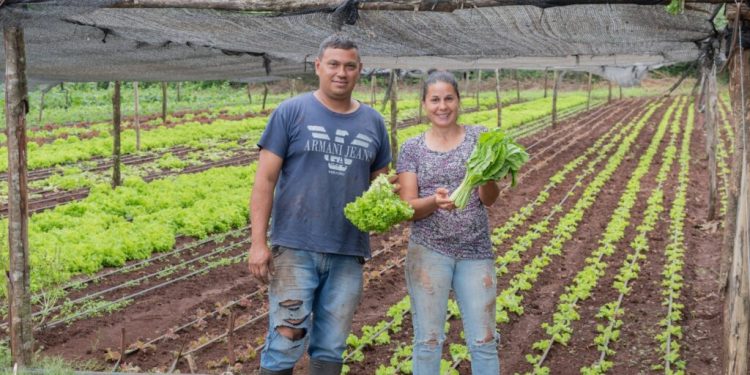 Avances en producción y agroecología benefician a más de mil familias misioneras