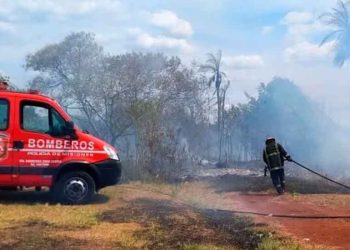 Ecología recomienda medidas para prevenir incendios ante las altas temperaturas