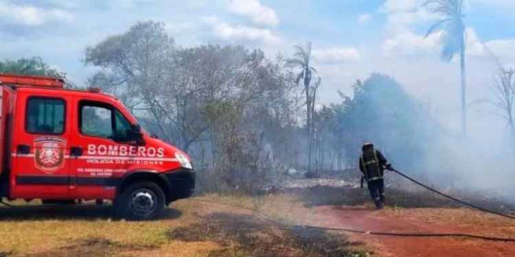 Ecología recomienda medidas para prevenir incendios ante las altas temperaturas