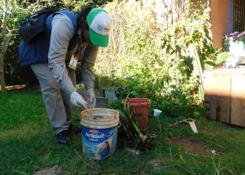 Posadas: intensifican acciones contra el dengue