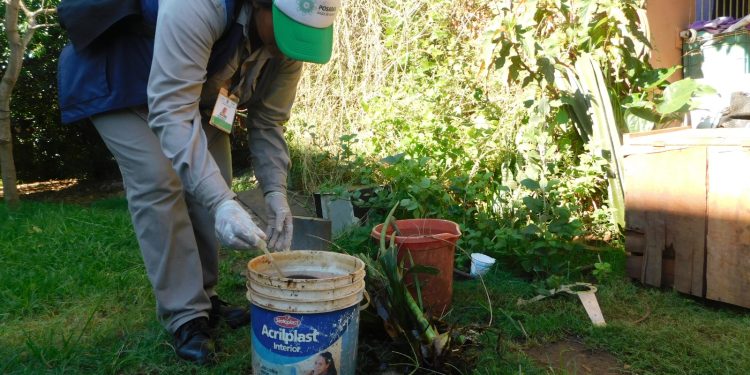 Posadas: intensifican acciones contra el dengue