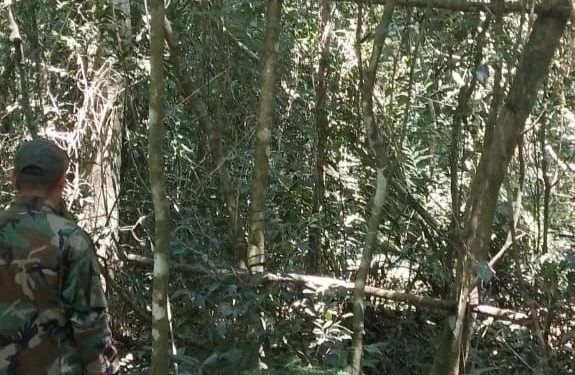 Patrulla de guardaparques destruyó trampas de cazadores en el Parque Puerto Península