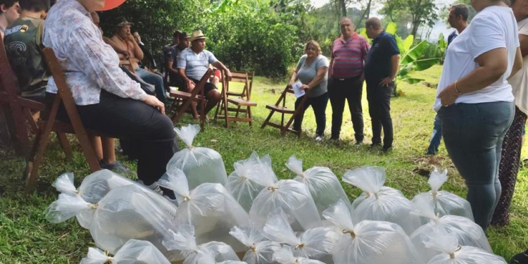 Entrega de alevines en San Vicente, General Alvear y Pozo Azul