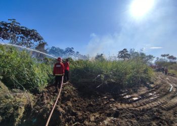 Alto riesgo de incendios en 14 departamentos de Misiones
