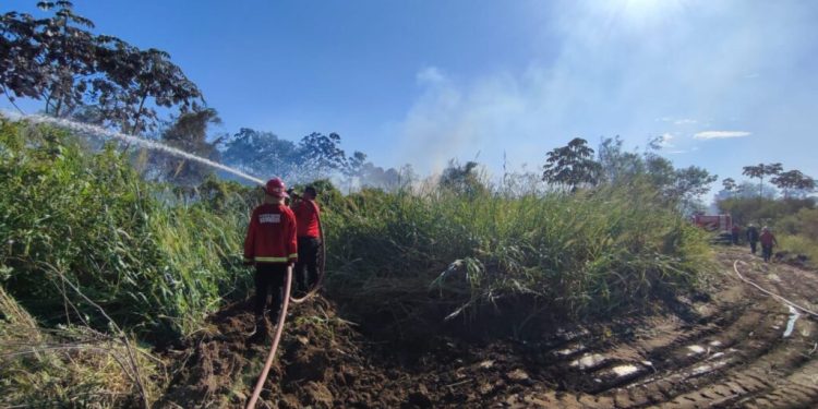 Alto riesgo de incendios en 14 departamentos de Misiones