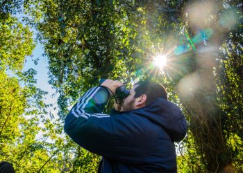 Jornada gratuita de observación de aves en Corpus Christi
