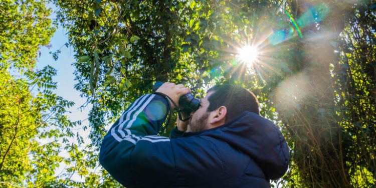 Jornada gratuita de observación de aves en Corpus Christi