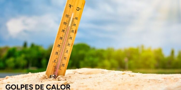 Temperaturas altas: Salud Pública recomienda evitar exponerse al sol y beber abundante agua