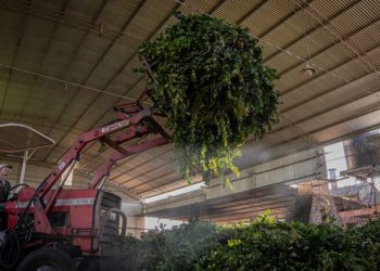 El Gobierno de Misiones prorrogó hasta el 30 de junio las líneas de crédito productivas a tasa subsidiada