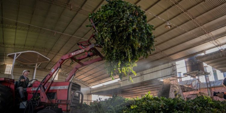 El Gobierno de Misiones prorrogó hasta el 30 de junio las líneas de crédito productivas a tasa subsidiada