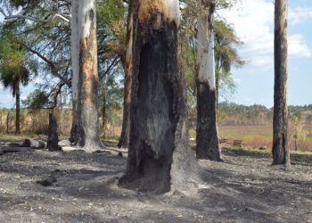 A pesar de las lluvias, Misiones continúa en alerta roja por incendios