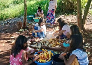 Comunidades Mbya Guaraní preservan semillas de maíz como patrimonio cultural y alimentario