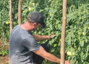 Agricultura Familiar impulsa la producción y la economía local en Guaraní y San Martín