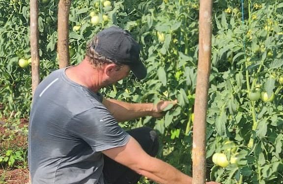 Agricultura Familiar impulsa la producción y la economía local en Guaraní y San Martín