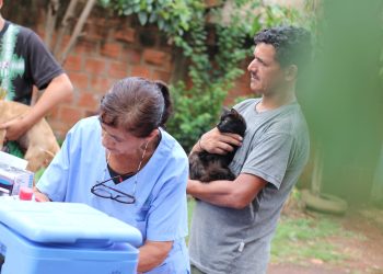 Posadas: el Imusa continúa recorriendo los barrios con atención veterinaria esencial