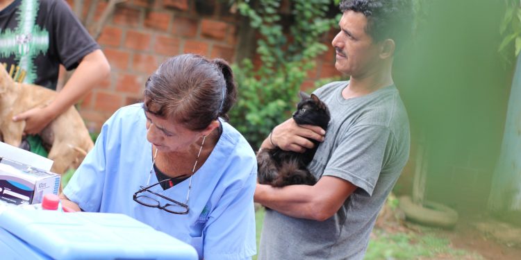 Posadas: el Imusa continúa recorriendo los barrios con atención veterinaria esencial
