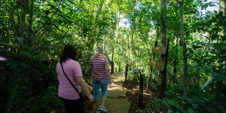 Senderismo consciente y meditación guiada en el Parque Salto Encantado