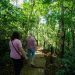 Senderismo consciente y meditación guiada en el Parque Salto Encantado