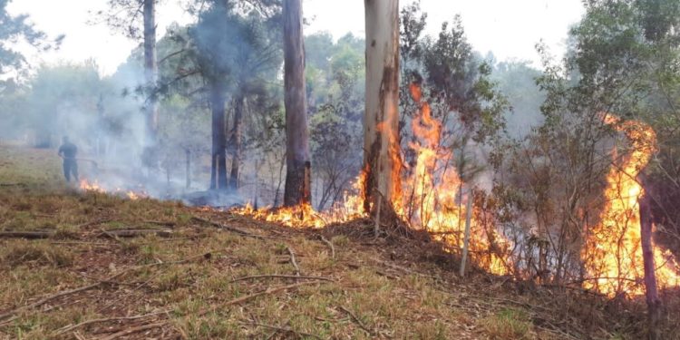 Misiones permanece en alerta ante el alto riesgo de incendios