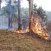 Misiones permanece en alerta ante el alto riesgo de incendios