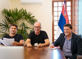 Misiones y el CFI trabajan en estrategias para fortalecer la industria yerbatera